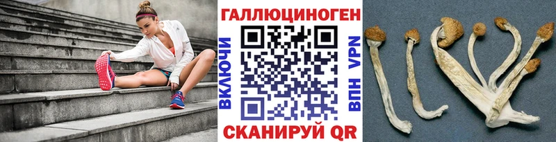 Псилоцибиновые грибы ЛСД  гидра ONION  Ардатов  продажа наркотиков 